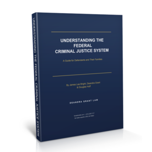 Understanding The Federal Criminal Justice System